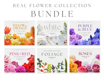 REAL Flower Clipart, Bundle, Flower PNG, White Flower, Rose clip art, Collage Element, Realistic, PNG flowers, Flower Arrangement