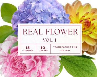 REAL Flower Clipart, Flower Clipart, Leaf Clipart, Flower clip art, Collage Element, Realistic, PNG flowers