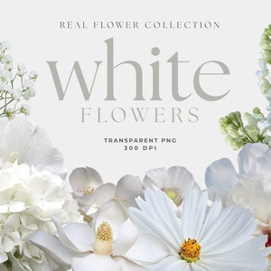 May include: A collection of white flowers, including hydrangeas, peonies, and baby's breath. The flowers are arranged in a bouquet and have a soft, delicate appearance. The image is labelled "White Flowers" and "Real Flower Collection".