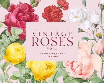 Vintage Flower Clipart, Vintage Rose Flower illustration,  Vintage Illustration, Flower clip art, Collage Element