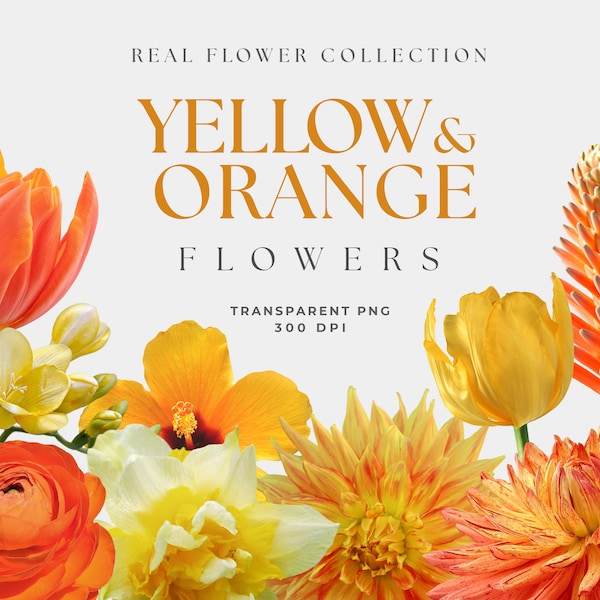 Realistic Flowers, Yellow and Orange Flower, Flower Clip art, Collage Elements, transparent flowers, flowers PNG, flower arrangement Floral