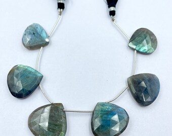 May include: A strand of six iridescent labradorite gemstone beads, each cut in a teardrop shape. The beads are strung on a silver wire with black tassels at each end.