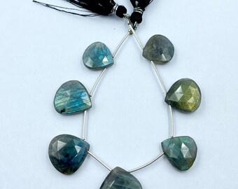 May include: A strand of seven faceted labradorite gemstone beads in a teardrop shape. The beads are strung on a silver wire with black tassels at the top.