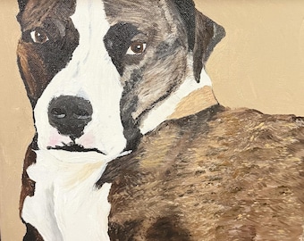 11 x 14 solid background dog portrait