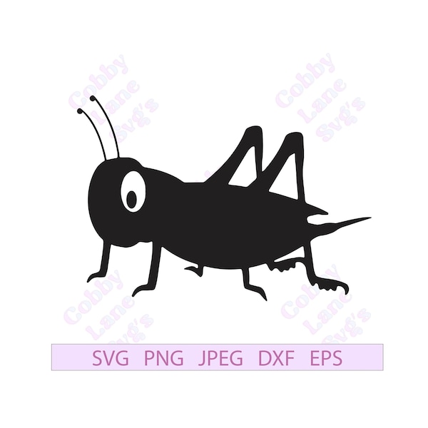 Cricket, Cricket Insect, Cricket Svg, Grasshopper, Grasshopper Svg, Insect Lover, Cricket Graphic, Svg, Png, Jpeg, Dxf, Eps, Cartoon Cricket