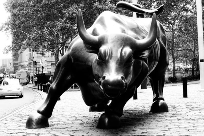 30/% off SALE at Checkout Use Coupon Code MARCH30B Gallery Framed Wall Street Bull Black /& White Canvas Print