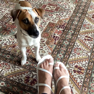 May include: A Jack Russell Terrier dog with brown and white markings stands on a patterned rug. White sandals with toe straps are visible. A white basket with toys is in the background.