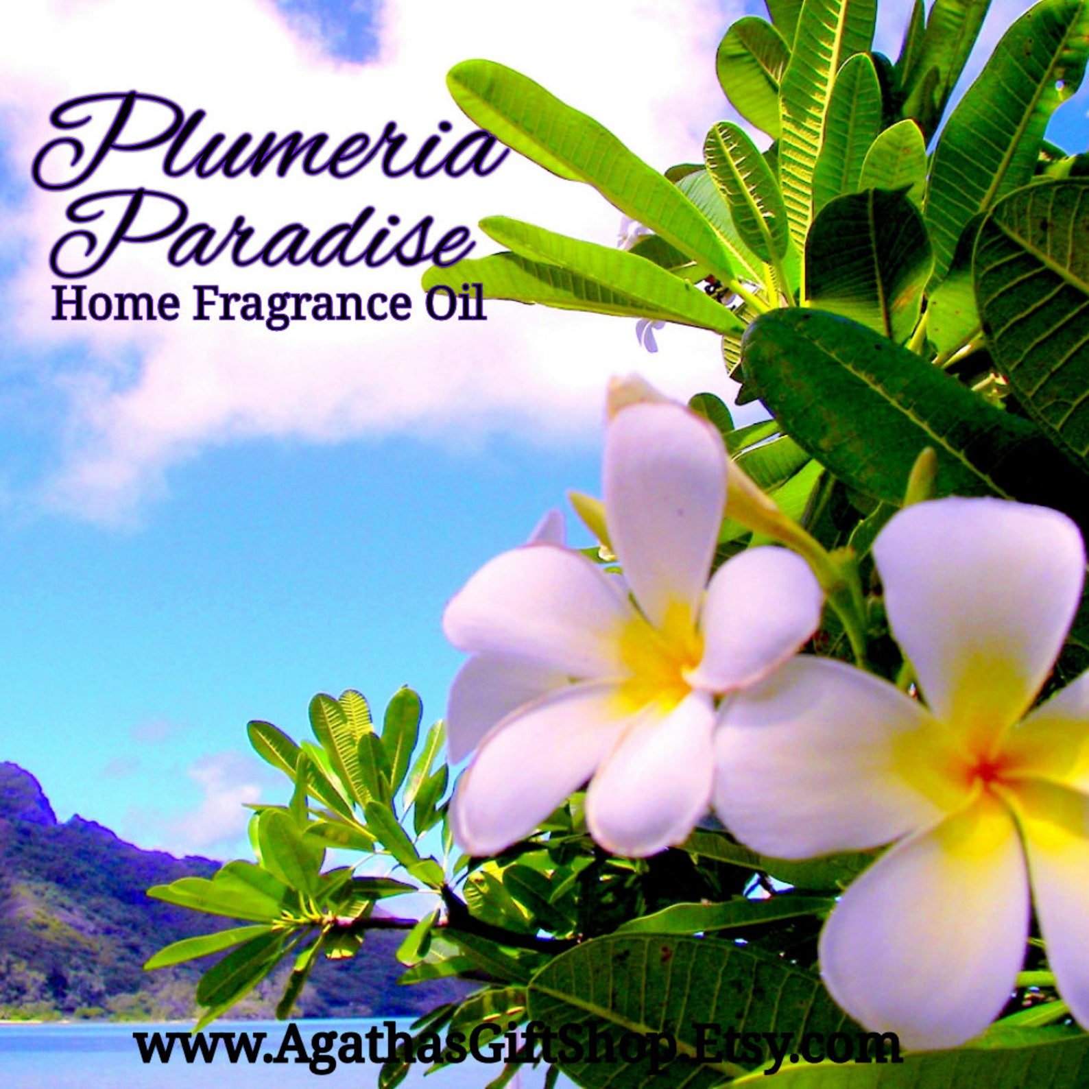 Plumeria Paradise Home Fragrance Diffuser Warmer Aromatherapy Etsy
