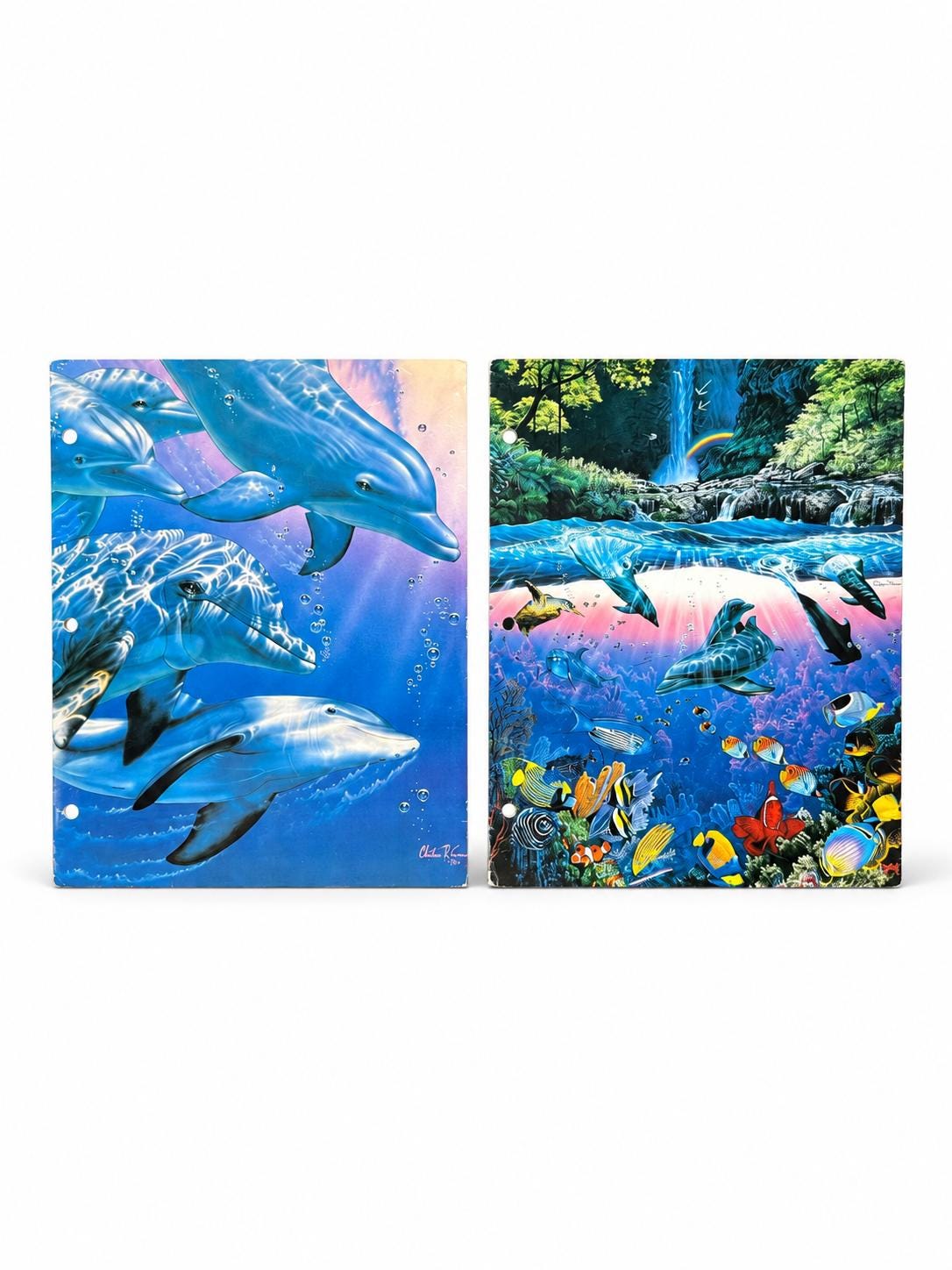 Lassen Dolphin Art - Etsy