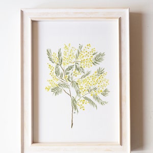 Stampa di piante di mimosa per l'arredamento della stanza estetica, opera d'arte botanica ideale per l'arredamento della stanza delle ragazze, oggetto d'arte per l'arredamento della stanza preppy