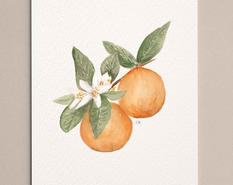 Orange fruit botanical artwork for apartment wall decor, fruit wall art for kitchen decoration