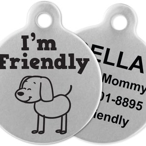 Médaille Petsaviour, pendentif à personnaliser, collier de chien, médaille personnalisée pour chien et chat, animaux de compagnie, bijoux, cadeau