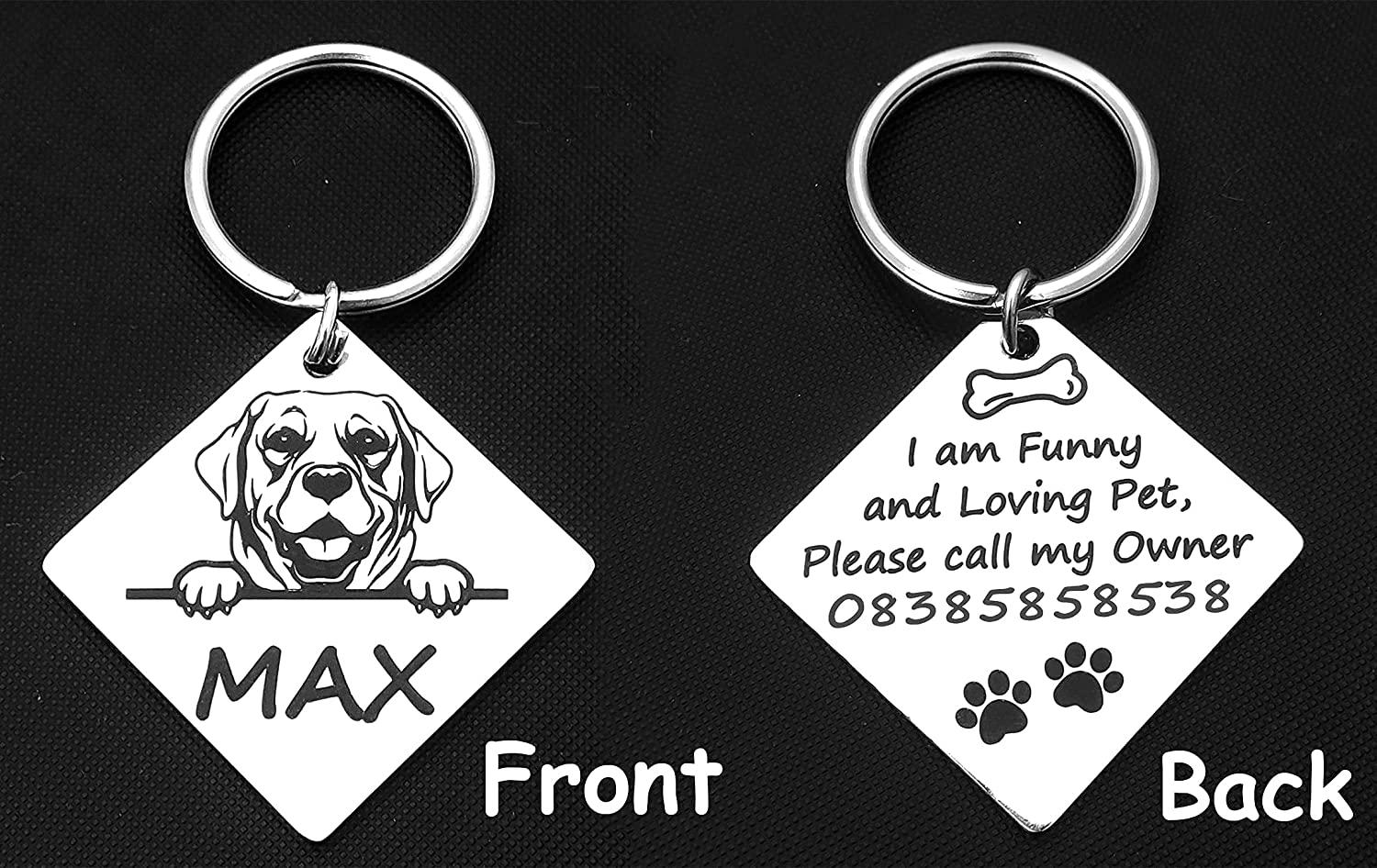 Custom Dog Breed Tag: Personalized Stainless Steel Pet ID - Etsy