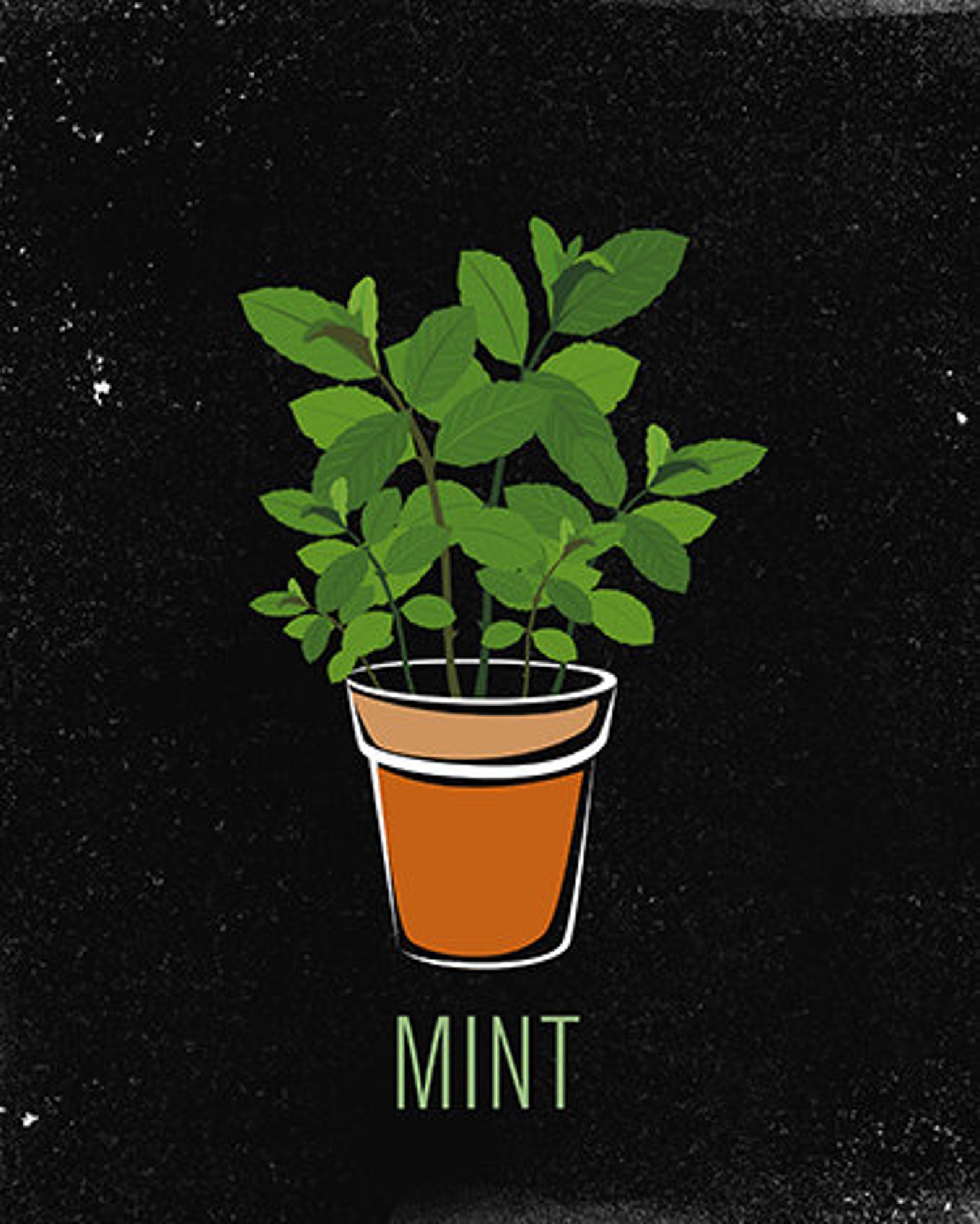 Set of 4 PRINTS Kitchen Basil Rosemary Mint Parsley Herbs Etsy