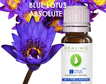 Natürlicher blauer Lotus (Nymphaea caerulea), 100% blauer Lotus absolut- Heiliges Lümmelöl (unverdünnt) - Reines ätherisches Lotusblumenöl