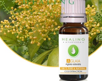Aglaia flower oil, CO2 extracted, Aglaia odorata, 100% pure natural Aglaia Blossoms oil, Aglaia flower absolute