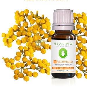 Helichrysum Italicaum- 100% Pure Helichrysum essential oil- Immortelle- Ayurvedic skin care oil- Aromatherapy oil- Undiluted Helichrysum oil