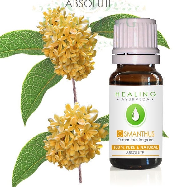 Osmanthus Absolute, 100% pure natural Osmanthus fragrans absolute , Sweet Osmanthus, Fragrant Olive, Osmanthus Blossoms, Flower absolute