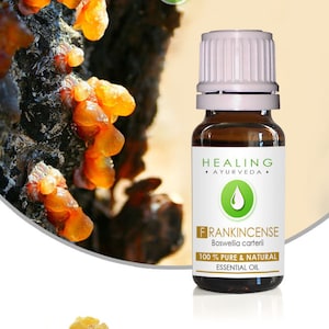 Frankincense etherische olie- Boswellia carteri, 100% puur essentiele olie, heilige olie