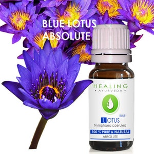 Blue Lotus Absolute, Pure blue lotus flower absolute. 100% lotus flower oil. Blue water lily flower absolute. Natural Blue lotus oil. image 1