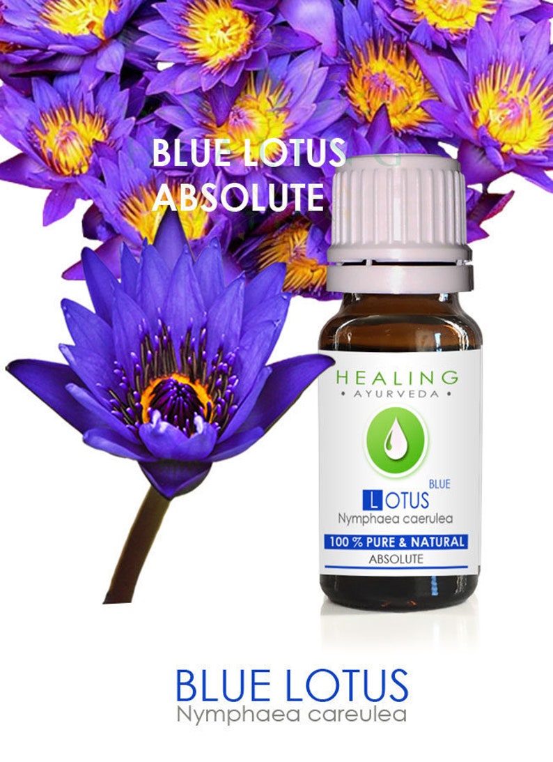 Blue Lotus Absolute, Pure blue lotus flower absolute. 100% lotus flower oil. Blue water lily flower absolute. Natural Blue lotus oil. image 1