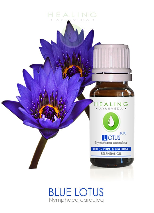 Natural Blue Lotus (Nymphaea caerulea), 100% Blue Lotus essential oil  (LILY)- Sacred Louts Oil- (Undiluted)-Lotus flower essential oil