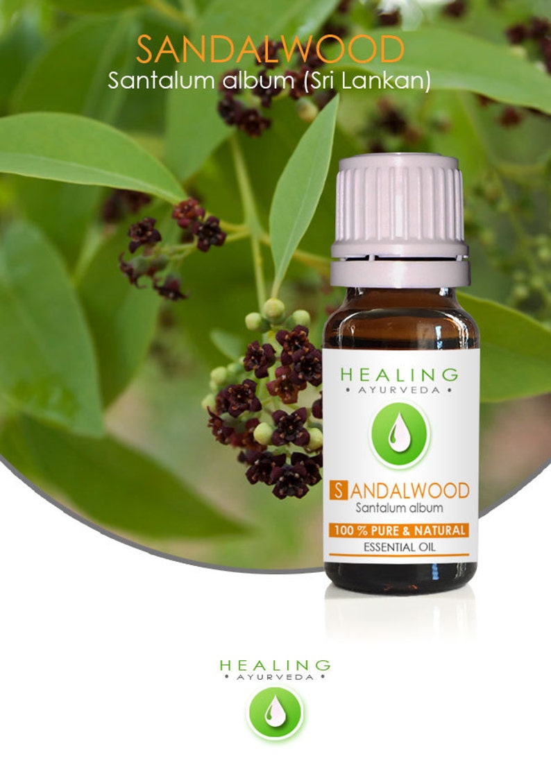 Puede incluir: Una botella de vidrio marr&oacute;n de aceite esencial de s&aacute;ndalo con una etiqueta blanca y naranja. La etiqueta dice "SANDALWOOD" y "100% PURE & NATURAL ESSENTIAL OIL". La botella se encuentra sobre un fondo de hojas verdes y peque&ntilde;as flores de color rojo oscuro.