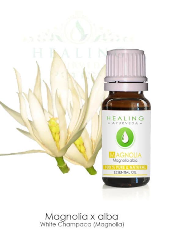 Magnolia flower essential oil, Magnolia alba- Magnolia essential oil, white champaca -Natural Magnolia flower oil, white champaca oil