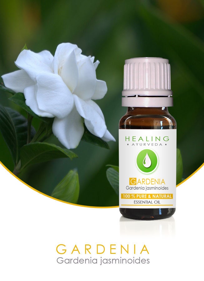 Gardenia Essential Oils Organic Plant & Natural 100% Pure