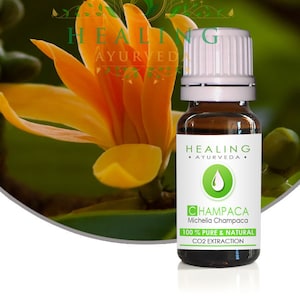 Champaca flower oil- Champaca co2 extracted- Pure Champaca oil- Natural Champaka essential oil- Red, Golden champaca oil- Aromatherapy oil