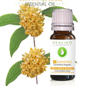 Osmanthus essential oil, CO2, 100% pure natural Osmanthus Blossoms oil , Sweet Olive, Fragrant Olive, Osmanthus oil, Osmanthus flower oil