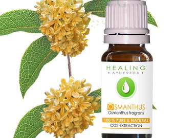 Aceite esencial de Osmanthus, CO2, aceite de flores de Osmanthus 100% natural puro, oliva dulce, oliva fragante, aceite de Osmanthus, aceite de flor de Osmanthus