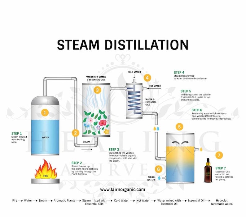 Puede incluir: Diagrama que ilustra el proceso de destilaci&oacute;n por vapor para aceites esenciales. El proceso incluye pasos como la creaci&oacute;n de vapor, la descomposici&oacute;n de la biomasa vegetal, la separaci&oacute;n y la extracci&oacute;n. El diagrama muestra el flujo de agua, vapor y aceites esenciales.