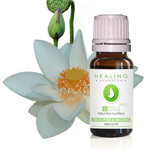 White Lotus Absolute- Pure Lotus Natural flower oil-Nelumbo nucifera-Sacred Louts Oil-Spiritual oil- Undiluted Absolute - Natural Lotus oil