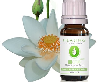 Absolu de lotus blanc- Huile de fleur naturelle de lotus pur-Nelumbo nucifera-Huile sacrée de loutre-Huile spirituelle-Absolue non diluée-Huile de lotus naturelle