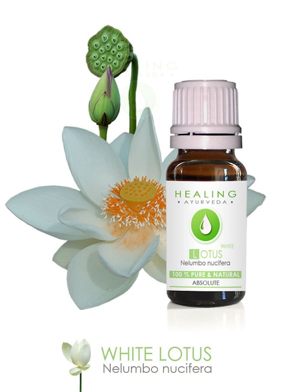 White Lotus Absolute- Pure Lotus Natural flower oil-Nelumbo nucifera-Sacred Louts Oil-Spiritual oil- Undiluted Absolute - Natural Lotus oil