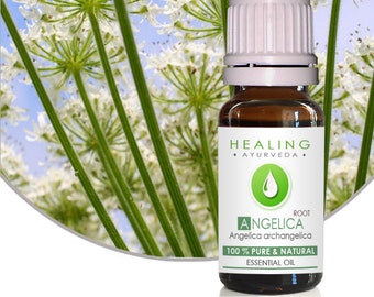 Aceite esencial de raíz de angélica - Aceite espiritual, aceite esencial de Ayurveda, aceite de chakras, aceite esencial de aromaterapia, aceite esencial de angélica