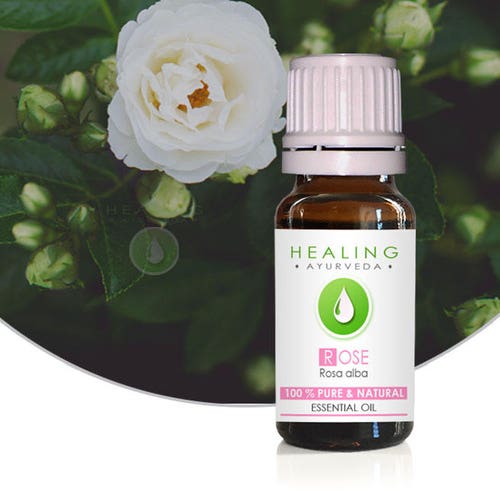 White Rose essential oil- Rosa alba- 100% Pure Rose Otto- Bulgarian White rose oil-  Natural White Rose essential oil