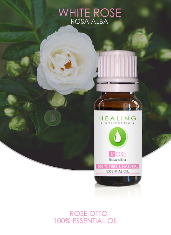 White Rose Otto- Rosa alba essential oil- 100% Rose oil- Rose Essential oil-  Natural Skin care -White Rose oil- Bath & beauty care- Otto