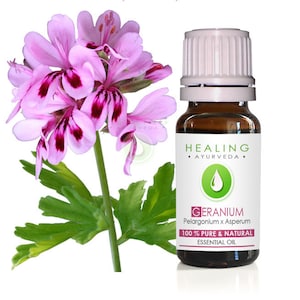 Rose geranium essential oil- 100% pure bourbon geranium oil- Pelargonium asperum - Aromatherpay - Geranium flower oil- Huile de Géranium