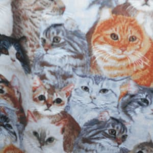 Kitten camo adult bib/dining scarf/clothing protector