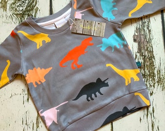 READY  to SHIP dinosaur organic baby top, kids top, toddler top, t shirt, dinosaur jumper