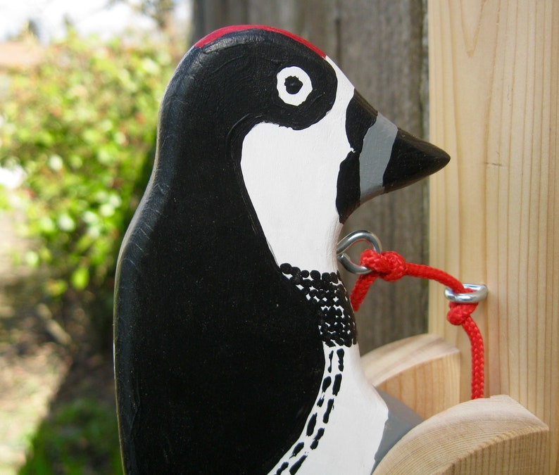 Acorn Woodpecker Door Knocker Etsy