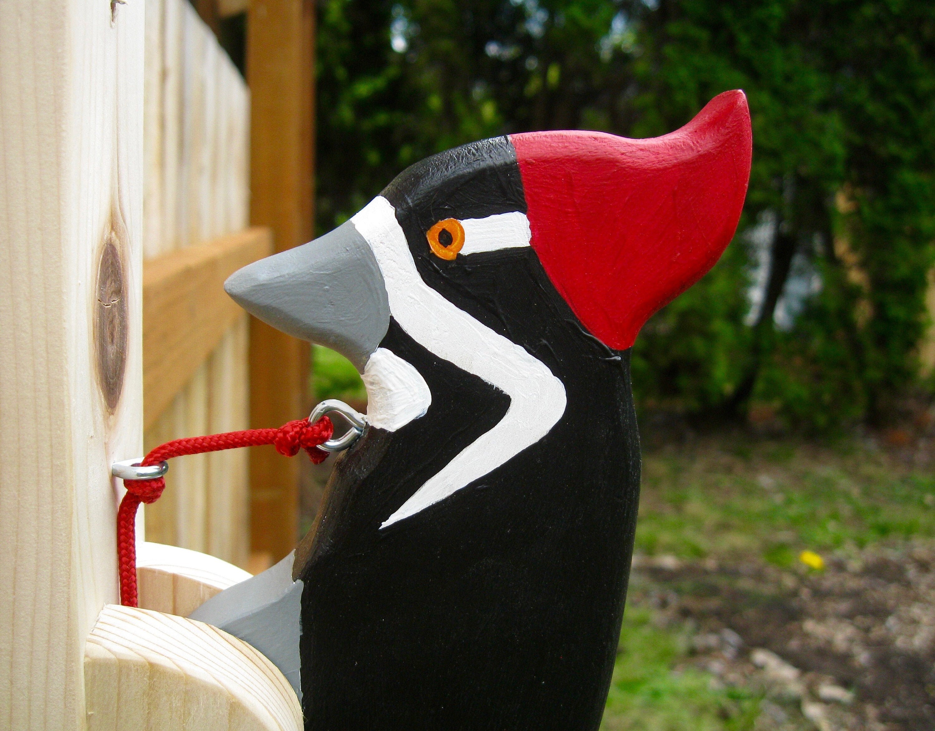 Pileated Female Woodpecker Door Knocker. Etsy