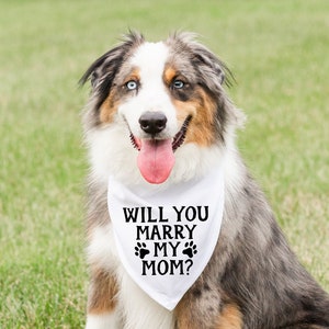 Dog proposal shirts clearance