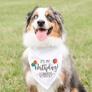 Birthday Dog, Dog Birthday Bandana, Dog Birthday Party, Dog Birthday Gift, Birthday Dog Bandana, Pet Birthday Bandana, Custom Dog Bandana