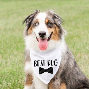 Dog Best Man Shirt Clothes Wedding Party Special Event 