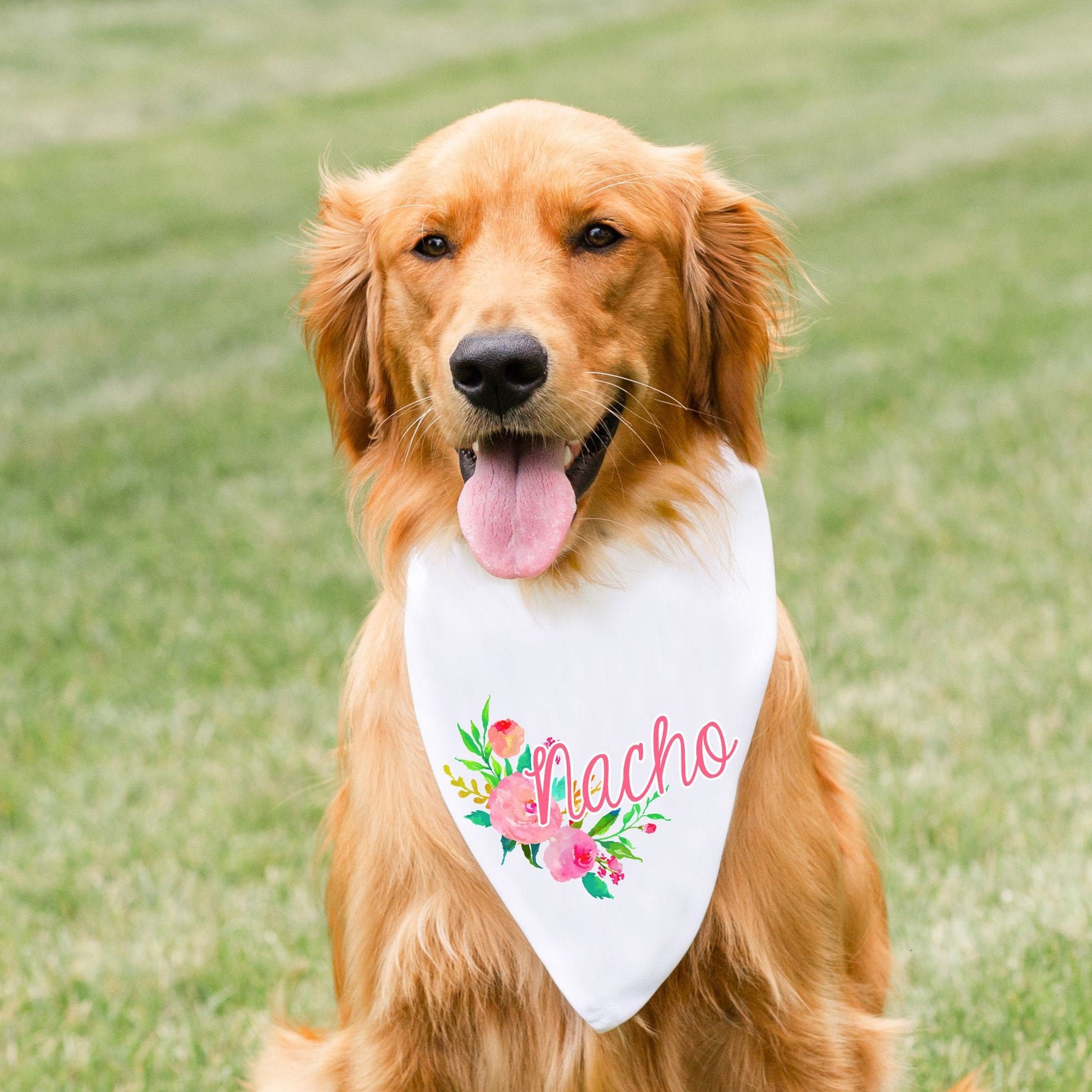 customized dog bandana