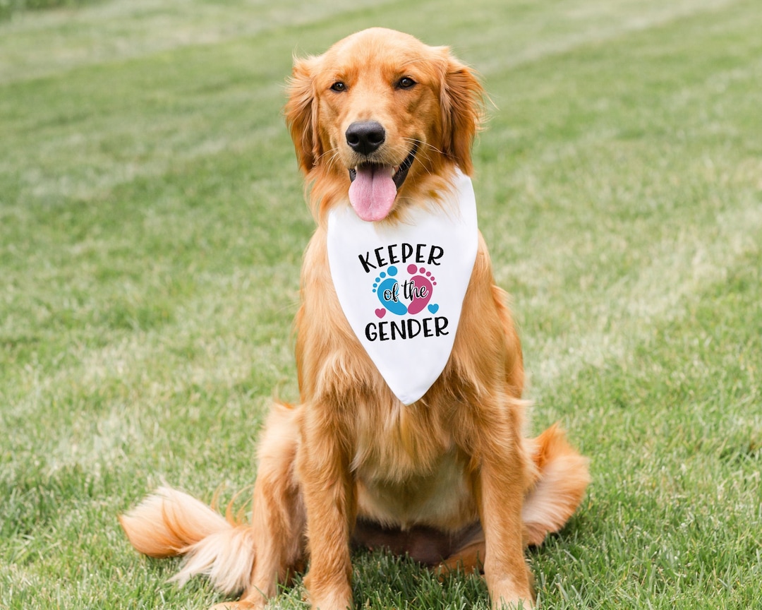 Gender Reveal, Keeper of the Gender, Gender Reveal Party, Dog Baby