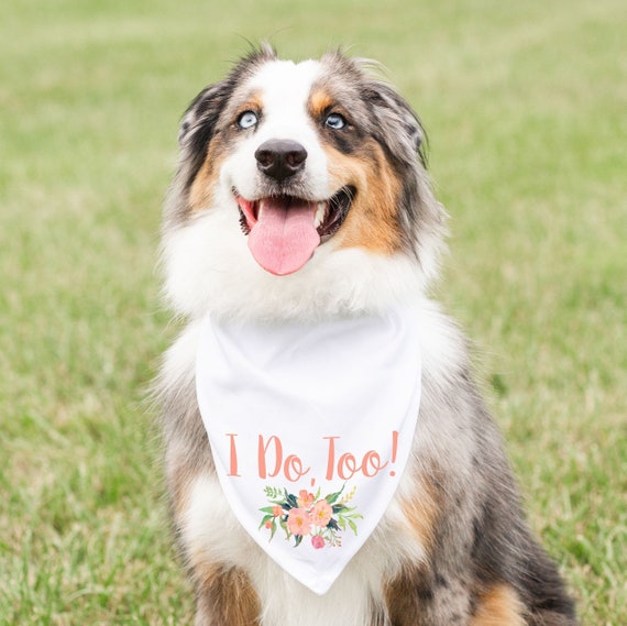 I Do Too Over the Collar Dog Bandana|Wedding Dog Bandana|Engagement Dog Bandana|Proposal Dog Bandana|Dog Accessories for Wedding I Do Too Over the Collar Dog Bandana|Wedding Dog Bandana|Engagement Dog Bandana|Proposal Dog Bandana|Dog Accessories for Wedding